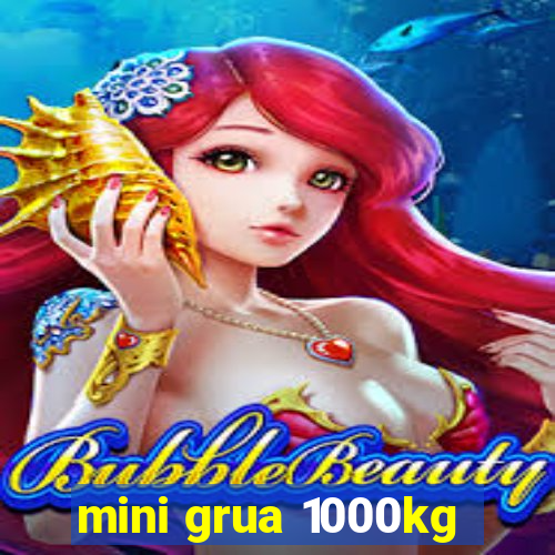 mini grua 1000kg